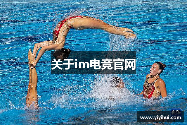 关于im电竞官网